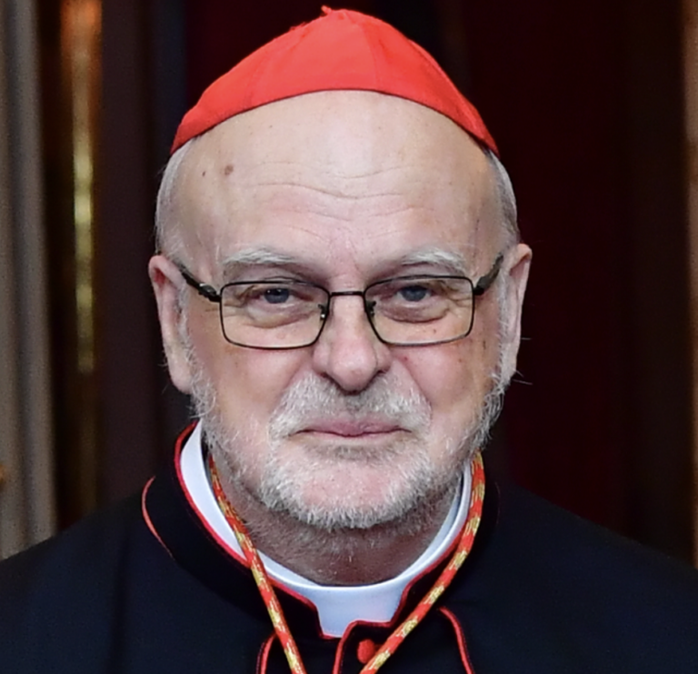 Interactive map the college of cardinals report